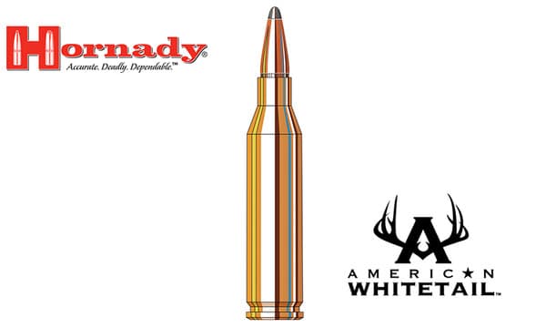 Hornady 243 WIN American Whitetail, Interlock BTSP 100 Grain Box of 20 #8047 — Al Flaherty's